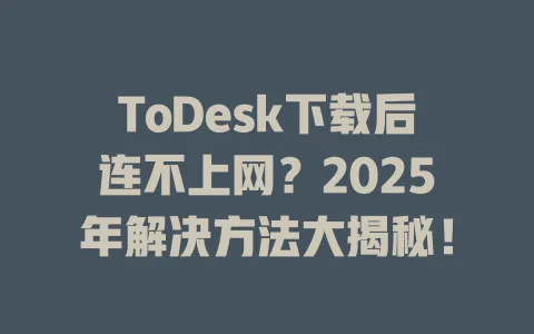 ToDesk下载后连不上网？2025年解决方法大揭秘！-ToDesk官网 - ToDesk下载